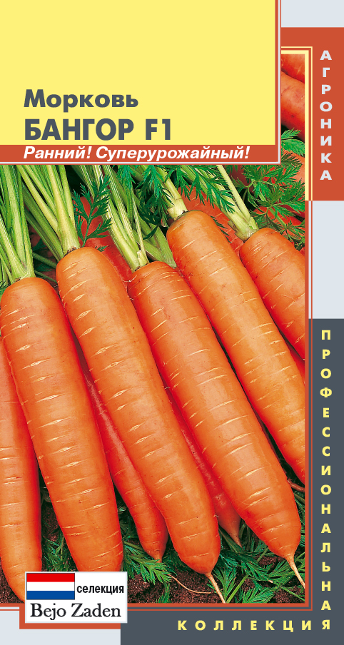 Морковь бангор. Бангор f1. Морковь Бангор f1 описание. Морковь Дордонь f1 /Плазмас/ 120 шт..