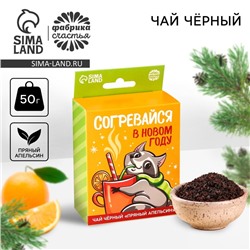 Новый год! Чай чёрный со вкусом пряный апельсин «Согревайся в Новом году» с европодвесом, 50 г.