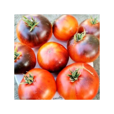 Помидоры Голубой Ананас — Ananas Bleu Tomato (10 семян)