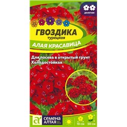 Гвоздика турецкая Алая красавица/Сем Алт/цп 0,2 гр. двулетник