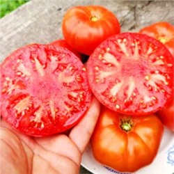Помидоры Первая Любовь — First Love Tomato (10 семян)
