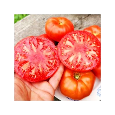 Помидоры Первая Любовь — First Love Tomato (10 семян)