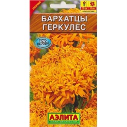 Бархатцы Геркулес