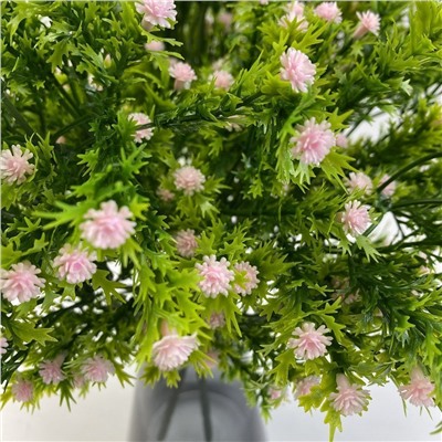 Гипсофила розовая 35 см, декоративное растение