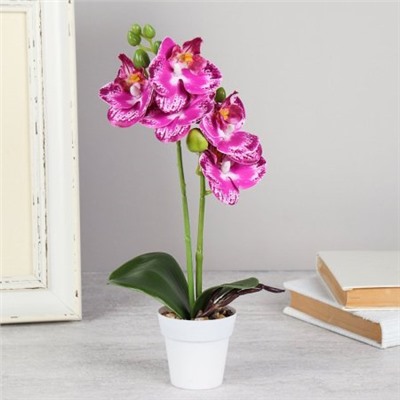 Цветочная композиция Орхидея 30 см / LM-1798 /уп 144/