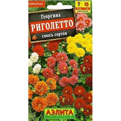 Георгина Риголетто (смесь)