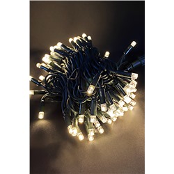 Электрогирлянда Нить 10м LED-PLR-100-10M-240V-WW/DG Fl