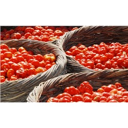 Помидоры Черри Санторини — Cherry Santorini Tomato (10 семян)
