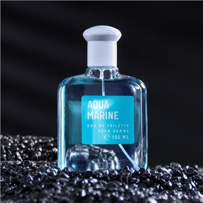 Туалетная вода мужская Colour ssncs Aquamarin, 100 мл (по мотивам Acqua Di Gio (G.Armani)