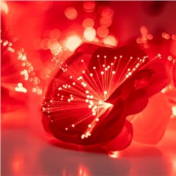 Декоративная подсветка "Маки" 20хLED 4000К 5м красный 500х9х9см