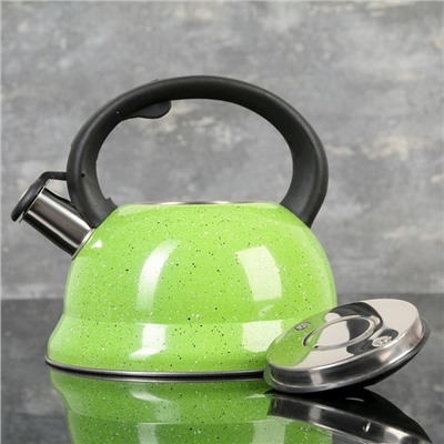 Чайник со свистком 2,8 л "Рио", фиксированная ручка, цвет зеленый