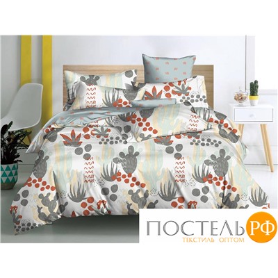 20/219-PC/CL КПБ CL HOME Поплин "Pure Cotton" двуспальный 175*215*1 200*220*1(±5) 70*70*2(±2) в ПВХ