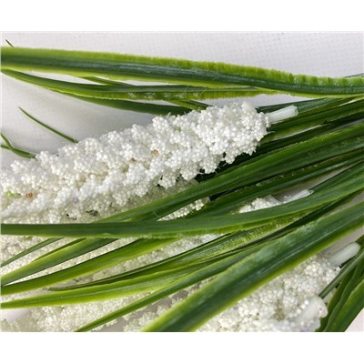 Декоративное растение Пырей, цвет белый, 50 см, 7 голов