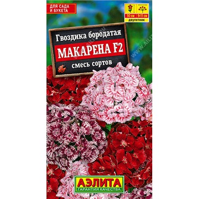 Гвоздика Макарена F2, смесь сортов