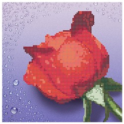 Алмазная мозайка без подрамника Красная роза 25х25