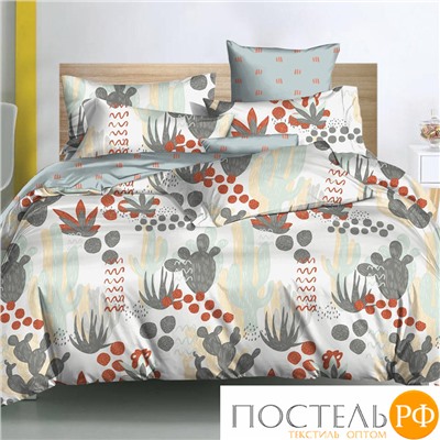 20/219-PC/CL КПБ CL HOME Поплин "Pure Cotton" двуспальный 175*215*1 200*220*1(±5) 70*70*2(±2) в ПВХ