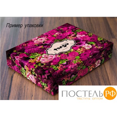 TS01-X255 код1001 Постельное белье Tango Novella 1,5-спальный 2 наволочки 1,5-спальный 50x70 (1 шт), 70x70 (1 шт) Сатин Коробка