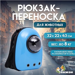 Рюкзак для переноски кошек и собак, с окном, 32 х 22 х 43 см, голубой