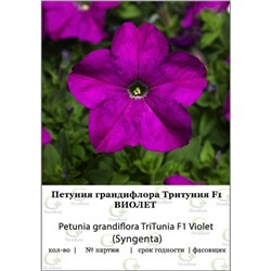 Петуния грандифлора Тритуния Виолет 100др  (Syngenta)