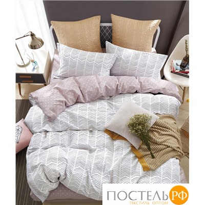 TPIG2-1153-70 КОД1049, Twill 2 спальный, 70x70 (2 шт), Сатин (Твил), Коробка