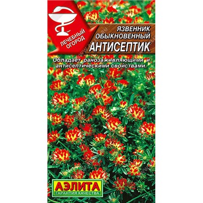 Язвенник Антисептик