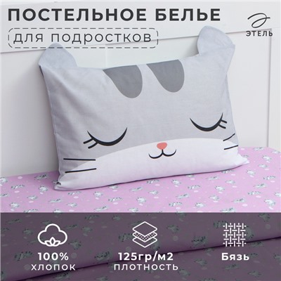 Постельное бельё Этель 1,5 сп Funny cat, 143х215 см, 150х214 см, 50х70 см -1 шт, 100% хл, бязь