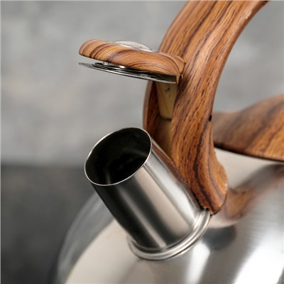 Чайник со свистком 2,8 л "Квант", фиксированная ручка soft-touch, цвет коричневый