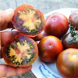 Помидоры Карлик Дельта — Delta Dwarf Tomato (10 семян)