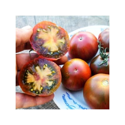 Помидоры Карлик Дельта — Delta Dwarf Tomato (10 семян)