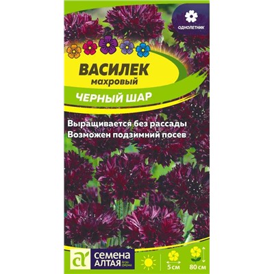 Василек Черный шар махровый/Сем Алт/цп 0,5 гр.