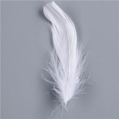 Набор для творчества и декора «Перья белые + наполнитель», цвет серебро