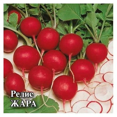 Редис Жара (100г)