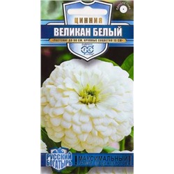 Цинния Великан белый