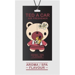 Освежитель воздуха Ted a Car с ароматом Арома-Спа