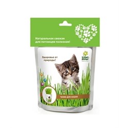 Happy Plant Трава для кошек