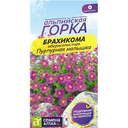 Брахикома Пурпурная малышка/Сем Алт/цп 0,05 гр. Альпийская горка НОВИНКА