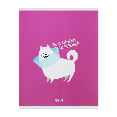 Тетрадь 48 листов в клетку Calligrata "Хорошо быть собакой", обложка мелованный картон, блок офсет, МИКС