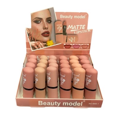 Матовая помада Beauty Model Matte Lipstick (ряд 6шт)