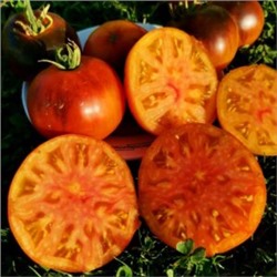 Помидоры Голубой Ананас — Ananas Bleu Tomato (10 семян)