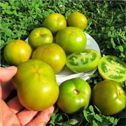 Помидоры Лайм Грин Салад — Lime Green Salad (10 семян)