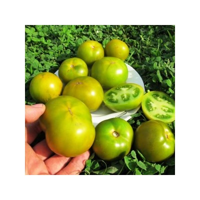 Помидоры Лайм Грин Салад — Lime Green Salad (10 семян)