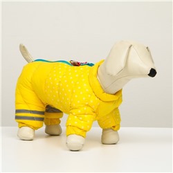 Комбинезон для собак  "Горошек", размер 16 (ДС 30 см, ОГ 44 см, ОШ 34 см), жёлтый