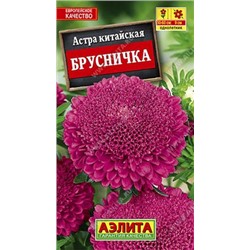 Астра Брусничка