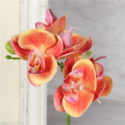 Цветочная композиция Орхидея 30 см / LM-790 /уп 96/