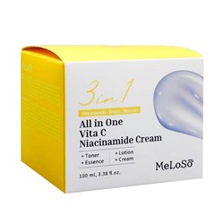 Dr.MeLoSo Крем для лица с ниацинамидом / All in One Vita C Niacinamide Cream, 100 мл