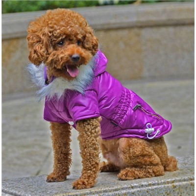 Зимняя куртка для собак PTS-036