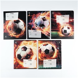 Тетрадь 18 листов в клетку «Футбол», обложка мелованный картон, 5 видов МИКС