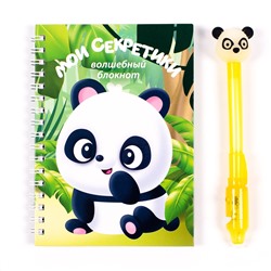 Рисуй Светом Блокнот и ручка-шпион "Панда"