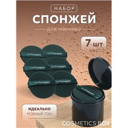 НАБОР СПОНЖЕЙ, код 2461460