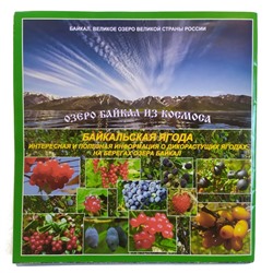 Буклет познавательный с картой Ягоды на Байкале 58*42 см